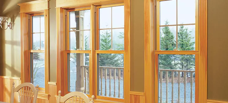 Government Incentives For Replacement Windows in Country Club, FL